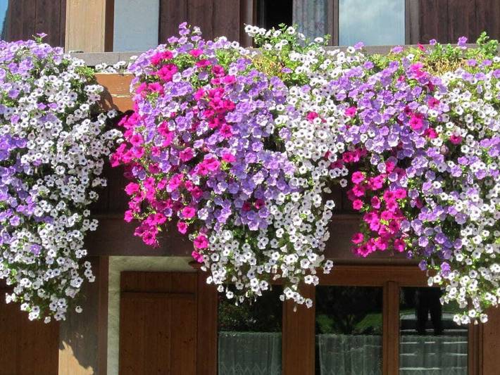 Ferienhaus für 4 Personen, mit Balkon in Fischen - 3