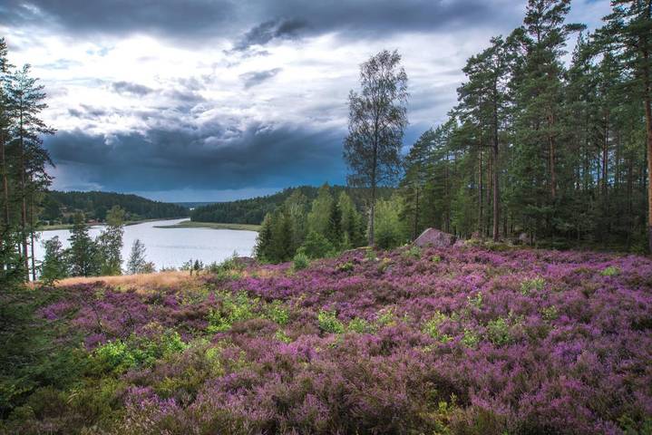 Villa für 8 Personen, mit Ausblick und Seeblick sowie Garten, mit Haustier in Schweden - 3