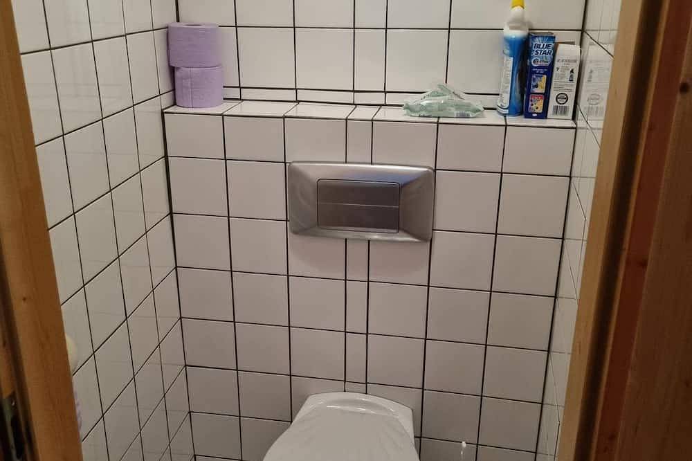 Ganze Wohnung, Elisabeth Rappold - 1 Schlafraum, Wohn/Schlafraum, Du/Wc in St. Lambrecht, Murau (Kreischberg)