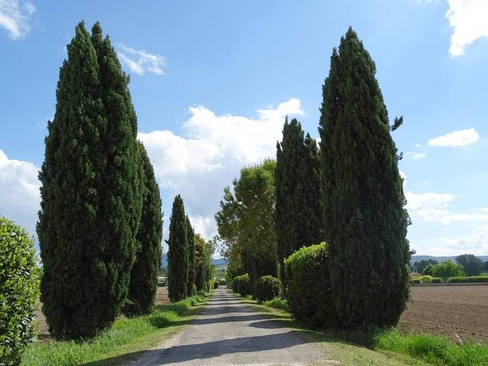 Chambre d’hôte pour 5 personnes, avec jardin et jacuzzi, animaux acceptés dans Ombrie - 4
