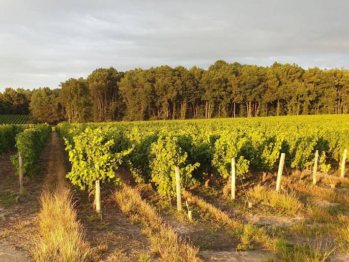 Maison de vacances pour 9 personnes, avec jardin et vue