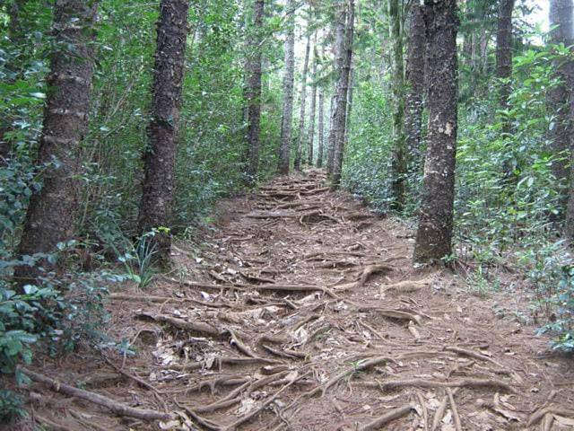 Gîte pour 4 personnes, avec vue et balcon dans Le Barachois Saint Denis - 4
