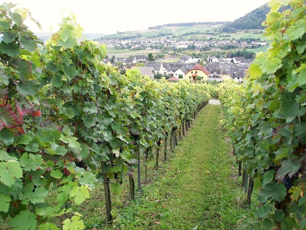Marmann - große Ferienwohnung in Osann-Monzel, Bernkastel-Kues & Umgebung