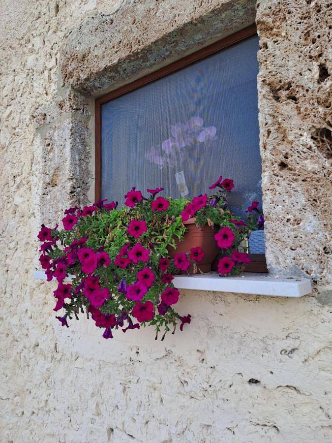 Agriturismo Pavoni in Castelliri, Province de Frosinone