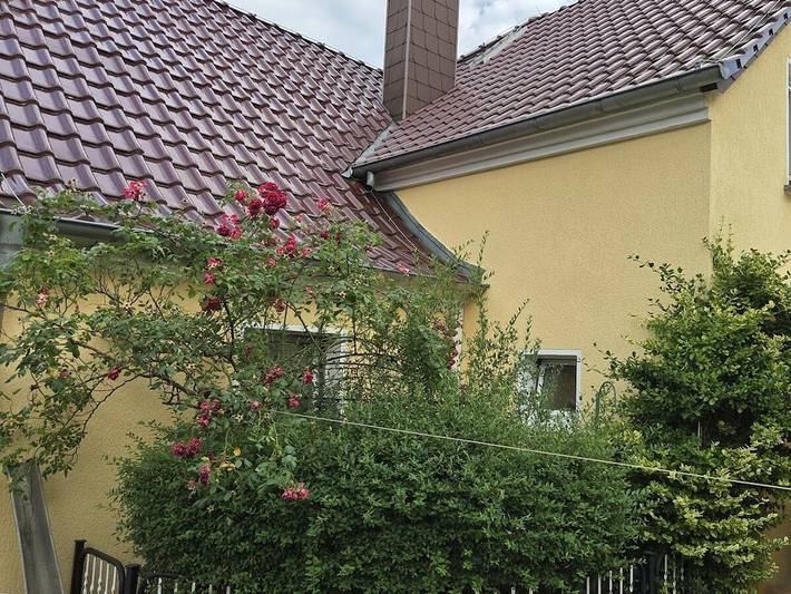Ferienhaus für 4 Personen in Burg (Spreewald) - 2