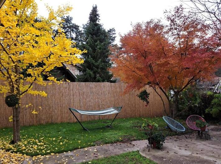 Maison d’hôte pour 3 personnes, avec jardin et terrasse dans Палић - 3