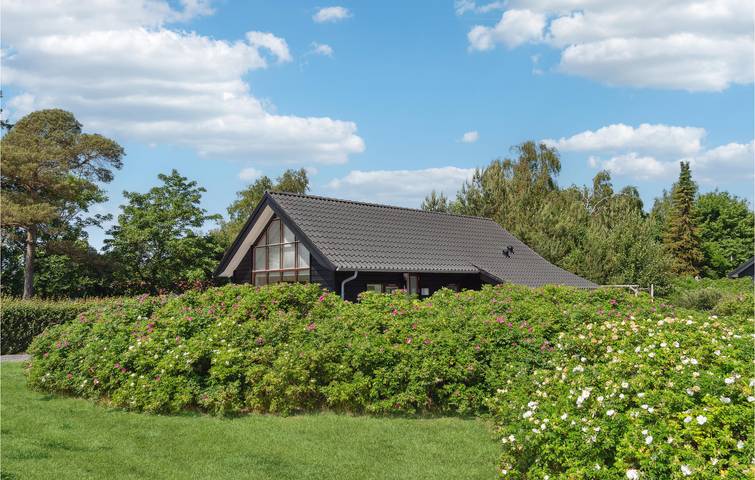 Ferienhaus für 9 Personen, mit Whirlpool und Sauna sowie Terrasse in Lyngsbæk Strand - 4