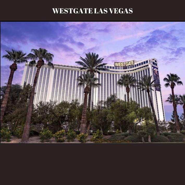 Apartmenthotel für 4 Personen, mit Sauna und Ausblick sowie Terrasse und Pool, mit Haustier - 1