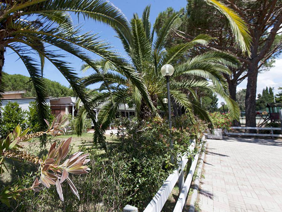 Camping Village Oasi - Mobilhome 5 personas - Trilo in Orbetello, Provincia de Grosseto