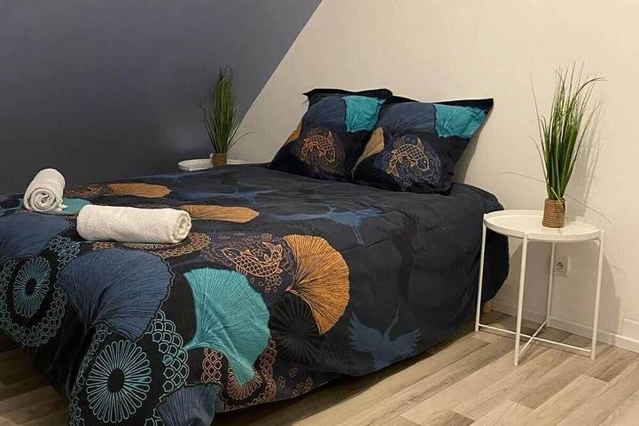 Location de vacances pour 4 personnes à Eckbolsheim - 2