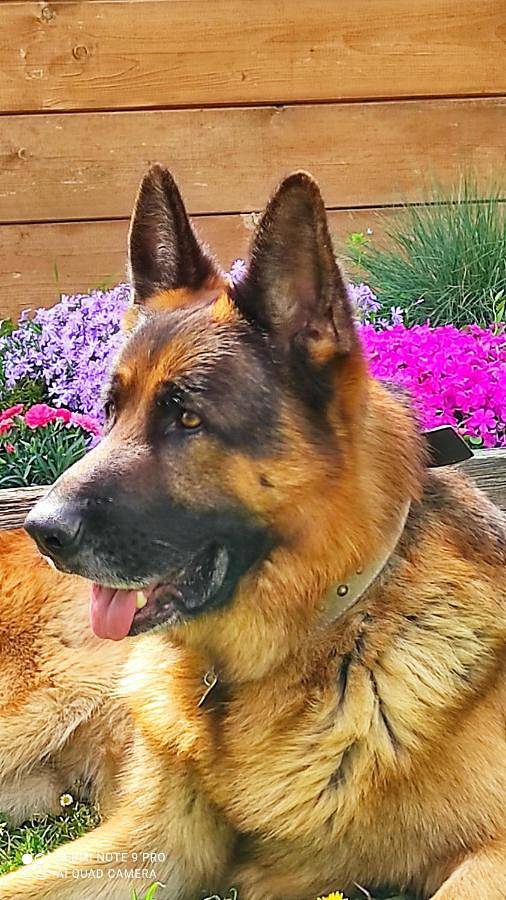 Chambre d’hôte pour 2 personnes, avec terrasse ainsi que vue et jardin à Arezzo - 2