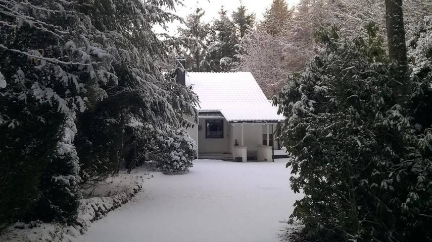 Ferienhaus für 4 Personen, mit Terrasse und Garten in Hermeskeil - 4