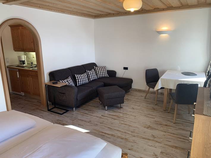 Ganze Ferienwohnung, Apartment - Wohn-Schlafraum  Du/Wc   "Typ 6" in Hirschegg Kleinwalsertal, Mittelberg