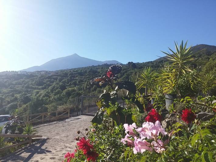 Casa rural para 6 personas, con Terraza y Jardín en Garachico - 3