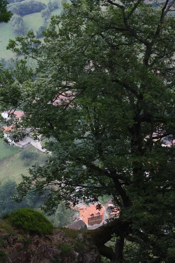 Apartamento de vacaciones para 6 personas, con vistas además de jardín y balcón - 1