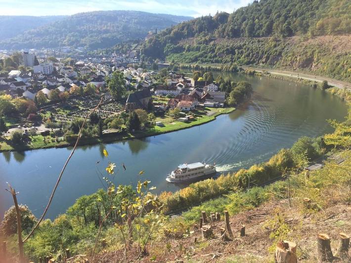 Ferienwohnung für 3 Personen, mit Terrasse und Ausblick in Hirschhorn (Neckar)