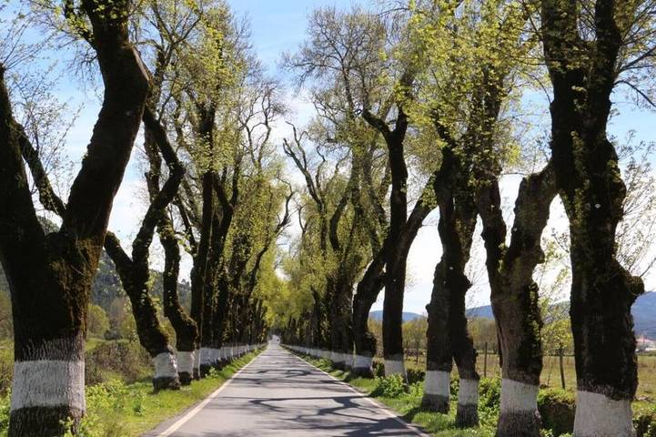 Casa de férias para 5 pessoas em Marvão