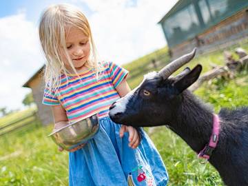 Bauernhof für 4 Personen in Buchen, Neckartal-Odenwald Nature Park, Bild 4