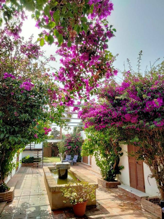 Vakantiehuis voor 2 personen, met tuin en whirlpool in Tarifa