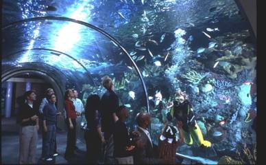 Loft for 5 Guests in French Quarter, New Orleans, Picture 2