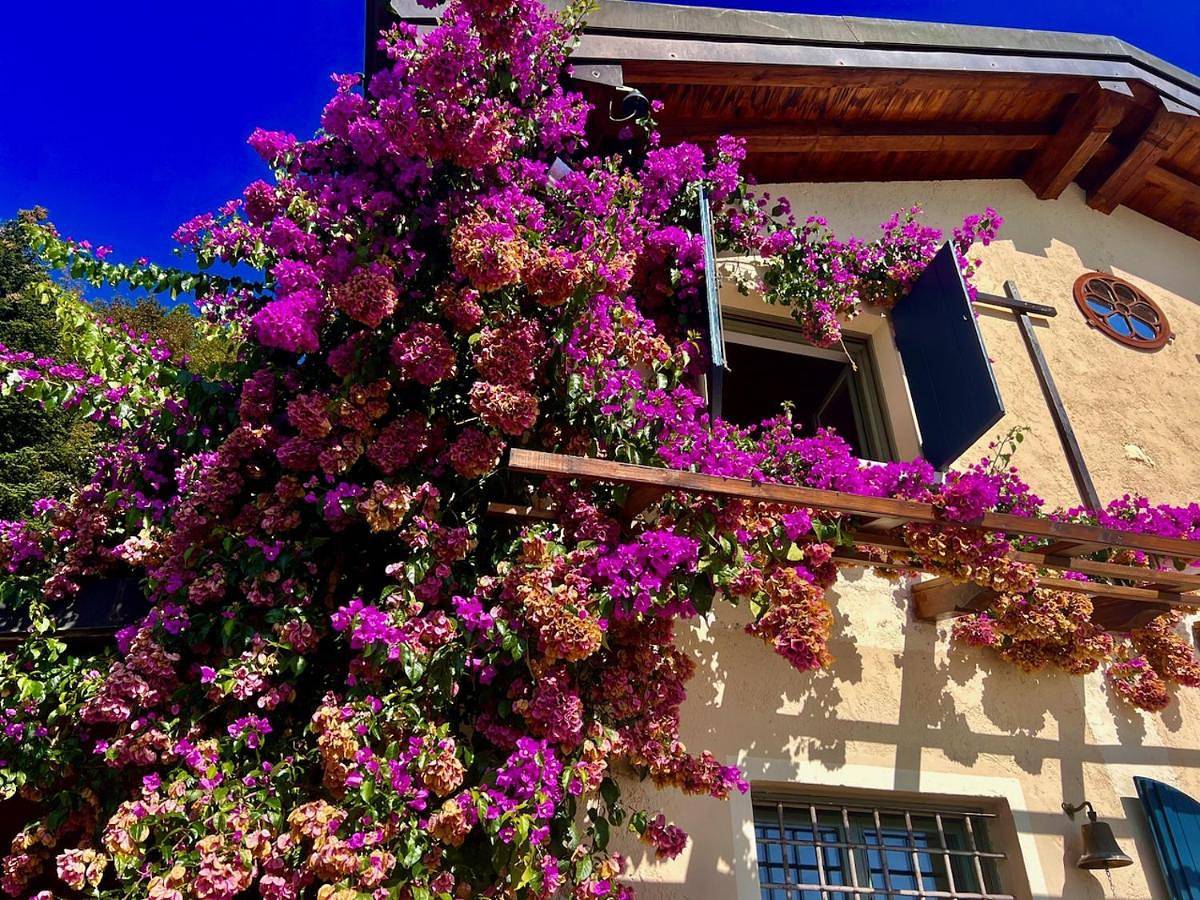 Neu- Villa Ventinove zauberhaft renovierte Landhausvilla mit traumhaftem 180-Seeblick und Park in Gardone Riviera, Gardasee-Berge