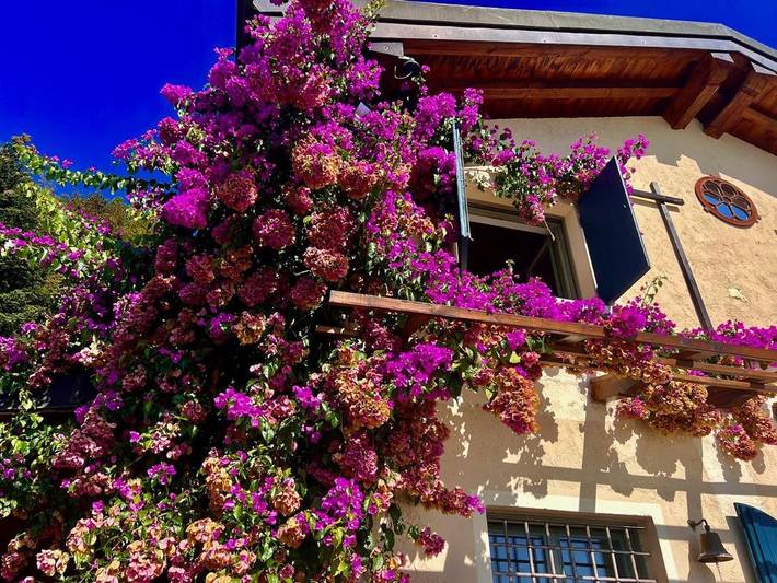 Villa für 8 Personen, mit Ausblick und Garten sowie Seeblick und Pool in Gardone Riviera - 3