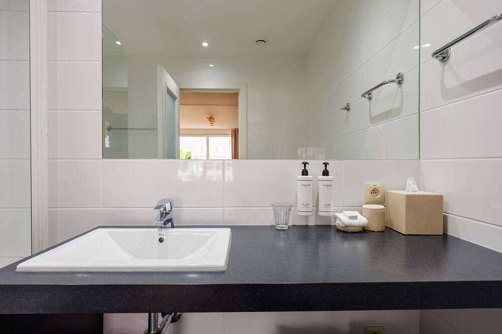 Entire apartment, Loft with Terrace Mas in Brussels, Brussels region