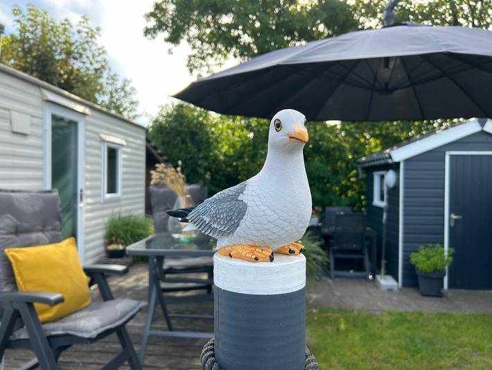 Chalet für 4 Personen, mit Garten, mit Haustier in Callantsoog