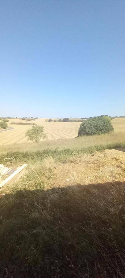 Chambre d’hôte pour 2 personnes, avec terrasse et vue à Valensole - 2
