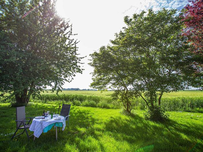 Ferienhaus für 6 Personen, mit Garten und Terrasse sowie Ausblick, mit Haustier in Bunde - 4