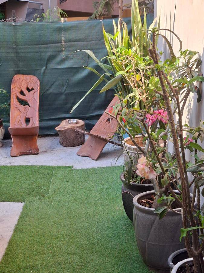 Gîte pour 2 personnes, avec terrasse et jardin à Pamandzi - 4