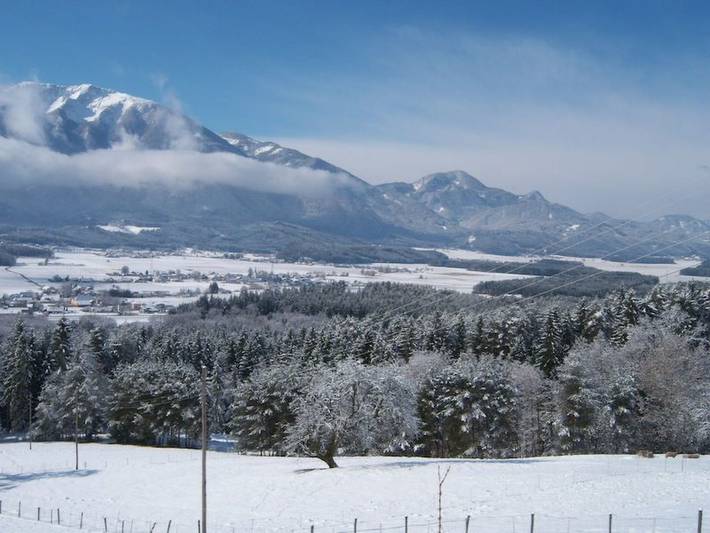 Ganze Wohnung, Typ 3 im Haus Huber in Bleiburg in Karawanken und Bachergebirge, Feistritz ob Bleiburg