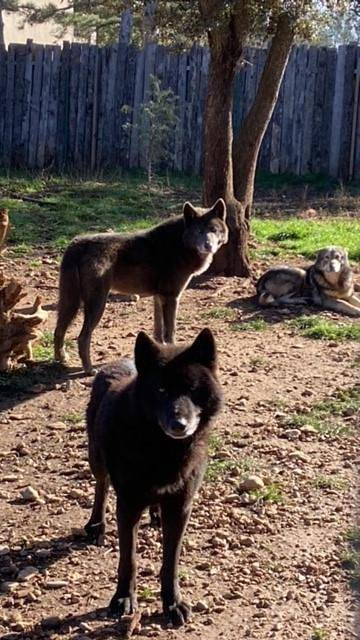 Les Gites du Parc Animalier de Ginasservis in Ginasservis, Région de Brignoles