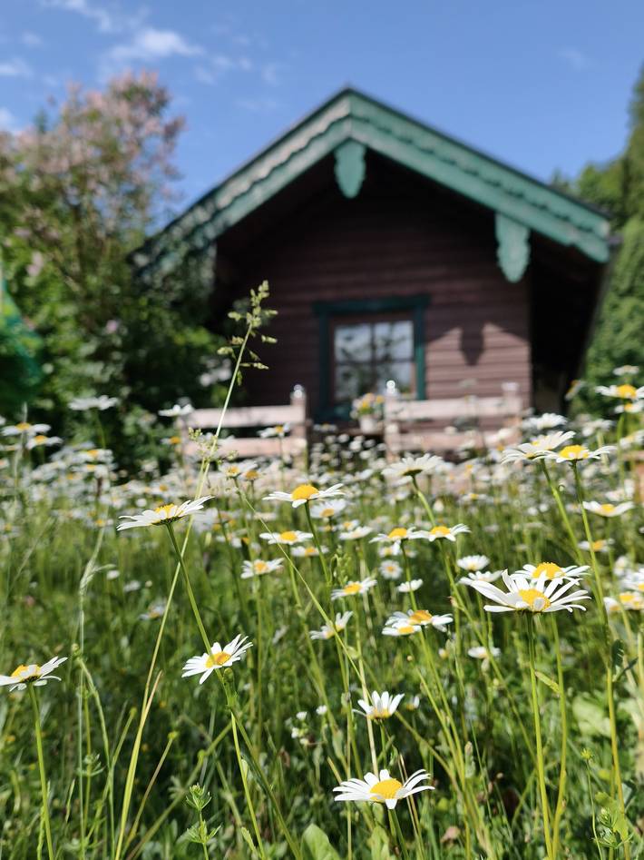 Hütte für 4 Personen, mit Garten, kinderfreundlich im Chiemgau - 3