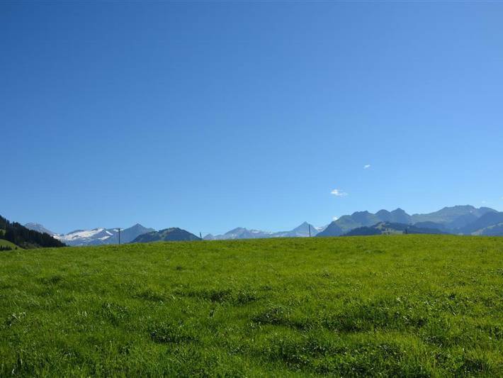 Appartement entier, Anne (Tiefparterre) in Saanenmöser, Saanen