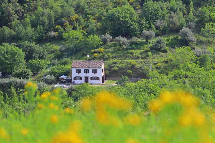 B&b per 2 persone, con Terrazza e Giardino nonché Panorama a Cupramontana
