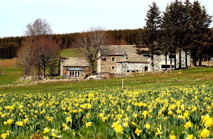 Location de vacances pour 12 personnes, avec jardin ainsi que jacuzzi et sauna à Saint-Front