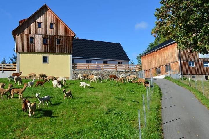 Ferienhaus für 9 Personen, mit Terrasse und Sauna in Frauenstein