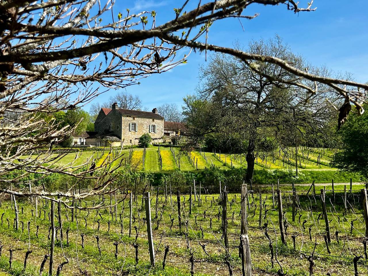 Wijndomein Lalande “La Maison” in Veyrines-de-Domme, Périgord Noir
