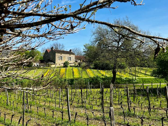 Gîte pour 10 personnes, avec piscine à Veyrines-de-Domme