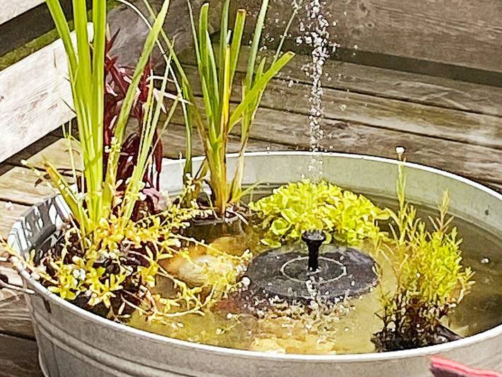 Ferienhaus für 4 Personen, mit Terrasse und Garten in Aarhus und Umgebung - 3