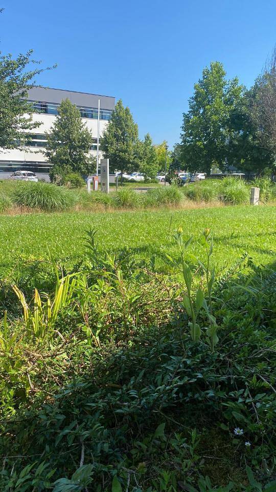 Gîte pour 2 personnes, avec balcon à Souffelweyersheim - 3