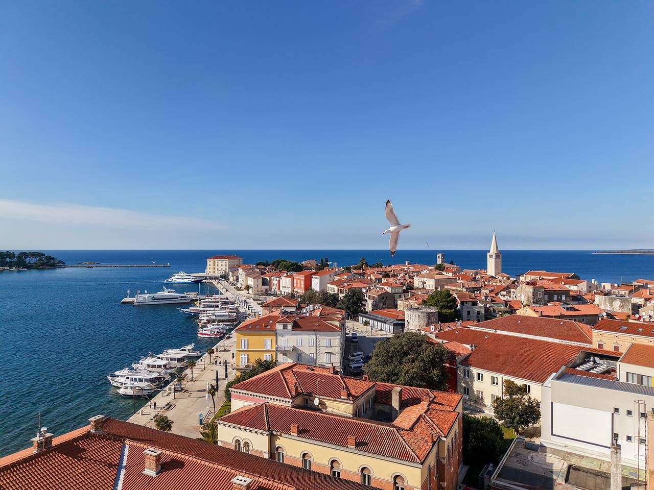 Ganze Wohnung, Small Studio A2 in Poreč, Grad Poreč