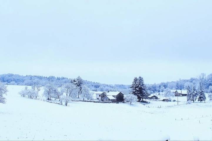 Appartement de vacances pour 3 personnes, avec jardin et terrasse, animaux acceptés