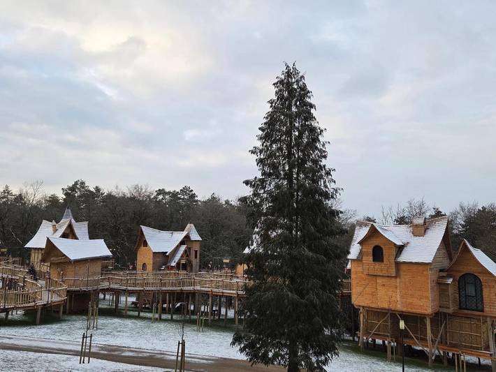 Hôtel pour 4 personnes, avec jacuzzi ainsi que sauna et jardin, adapté aux familles dans Bomal - 4