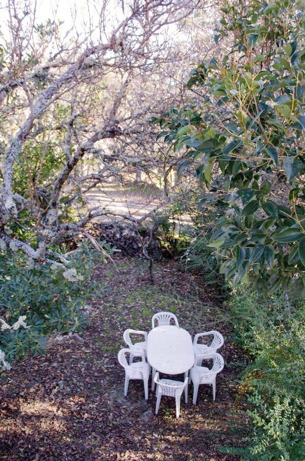 Casa rural para 8 personas, con vistas y jardín, Se admiten mascotas en Manteigas - 3