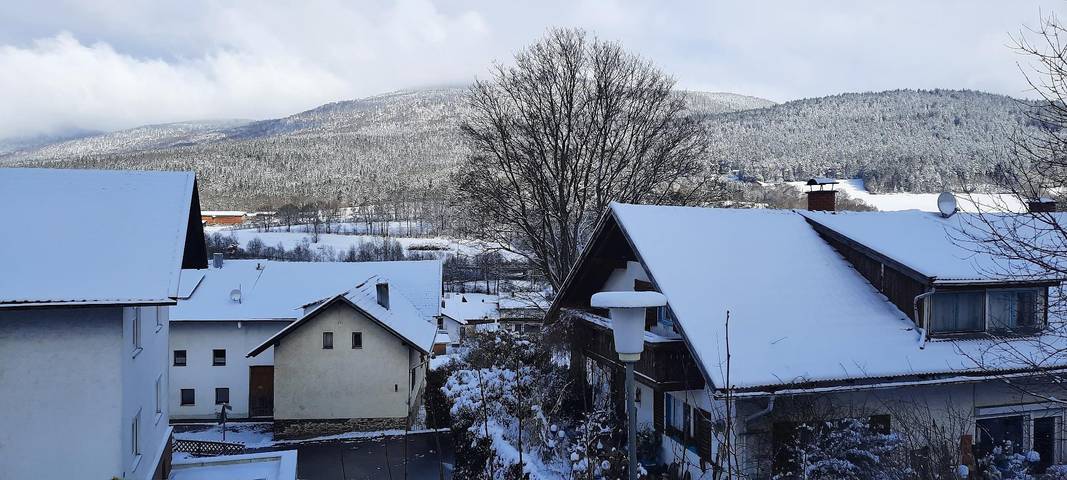 Ferienhaus für 5 Personen, mit Pool und Garten sowie Balkon im Bayerischer Wald - 2