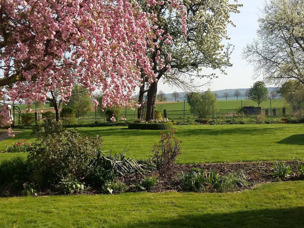 Ganze Ferienwohnung, Fewo Wolf - Appartement/Fewo, Bad, Wc, 1 Schlafraum in Einbeck, Weserbergland