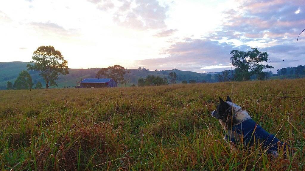 \"Escape to the Country\" Weingüter & Barrington Tops National Park zu besuchen! in Hunter Valley