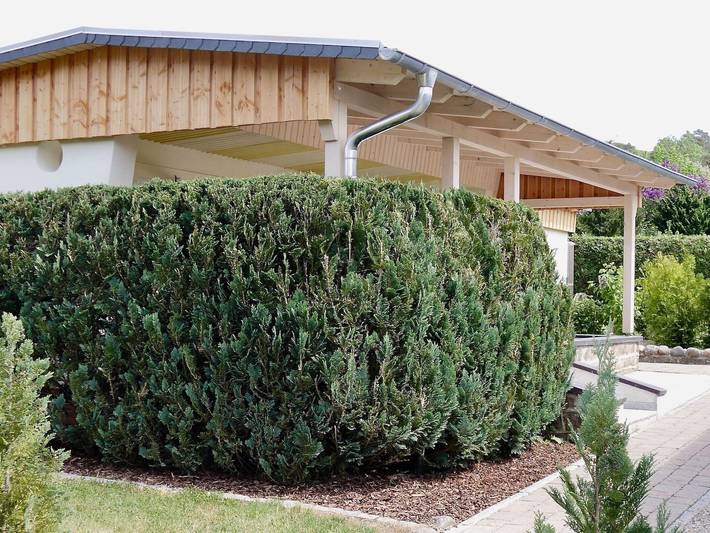 Bungalow für 2 Personen, mit Garten und Terrasse in Mecklenburgische Seenplatte - 3